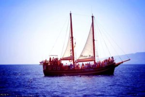 Морские экскурсии на Тенерифе: Питер Пен киты и дельфины